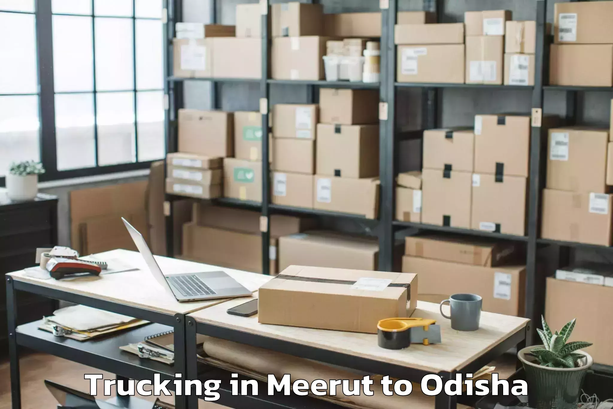 Book Meerut to Kankadahad Trucking